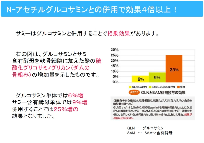 N-アセチルグルコサミンとの併用