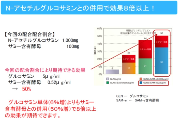 N-アセチルグルコサミンとの併用